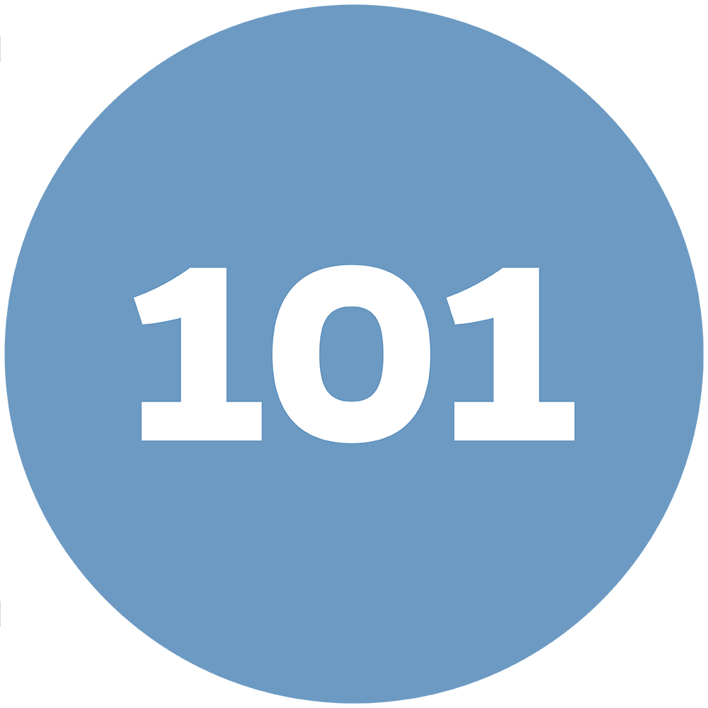 101 Icon