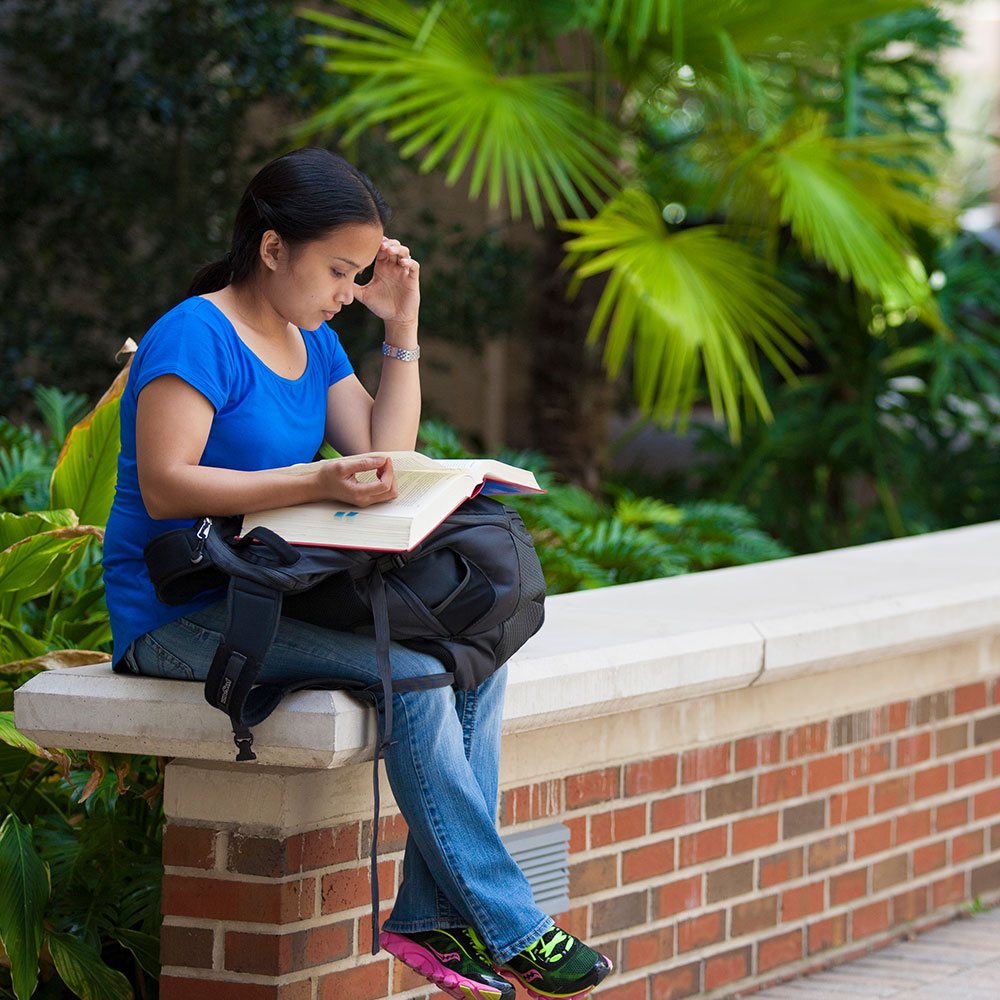 uf admissions essay 2012 uf admissions essay 2012