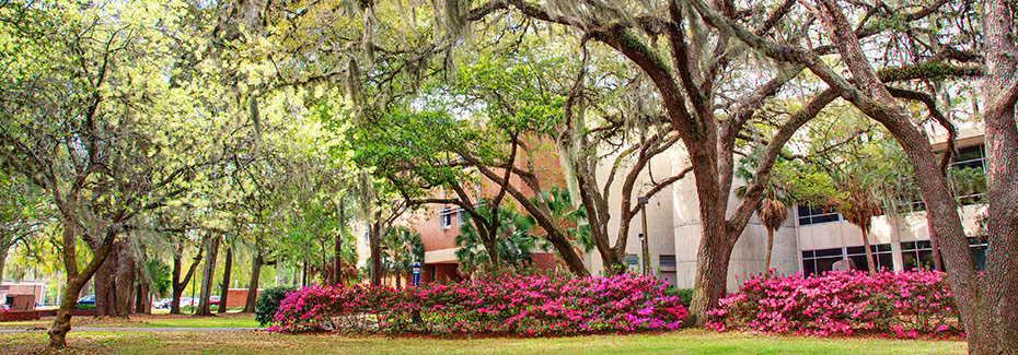 shot of law school