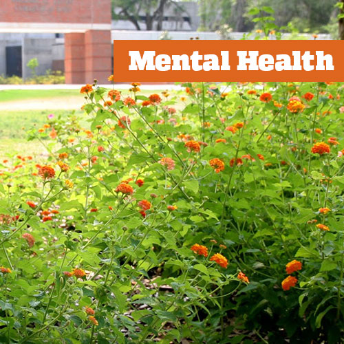 photo of flowers in front of a building